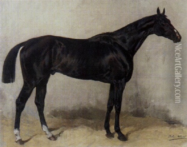 Schwarzes Pferd Oil Painting - Julius von Blaas