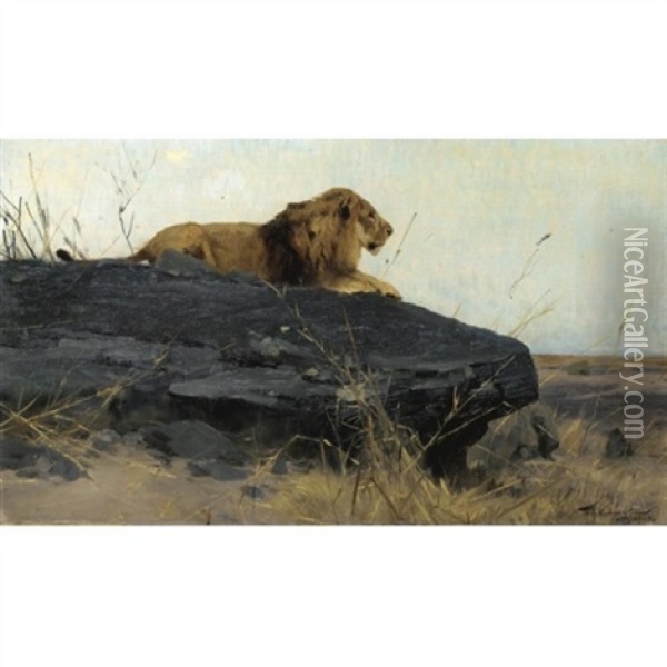 Lowe Auf Felsen (lion On A Rock) Oil Painting - Wilhelm Friedrich Kuhnert