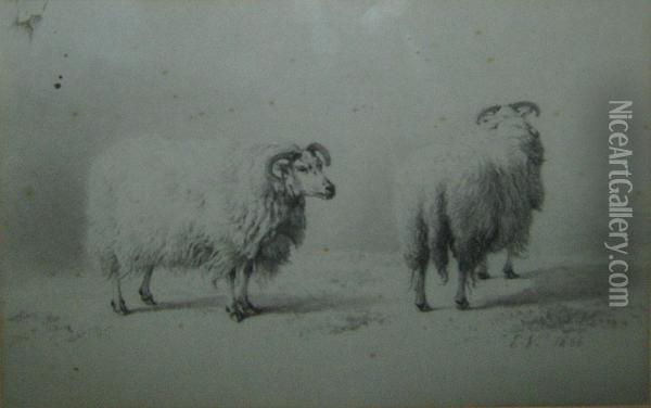 Deux Moutons Anglais Oil Painting - Eugene Verboeckhoven