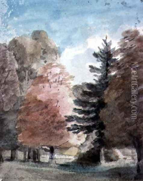 Study of Trees in a Park Oil Painting - John Constable