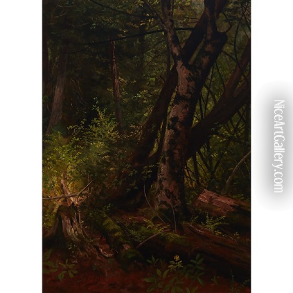 Trees Oil Painting - Thomas Mower Martin
