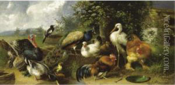 Farmyard Birds Oil Painting - Julius Scheurer