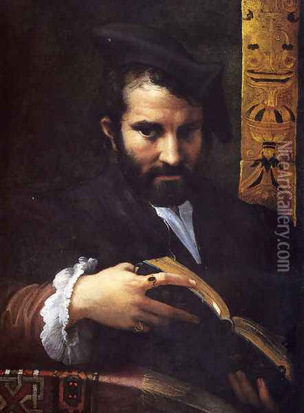 Portrait Of A Man With A Book Oil Painting - Girolamo Francesco Maria Mazzola (Parmigianino)