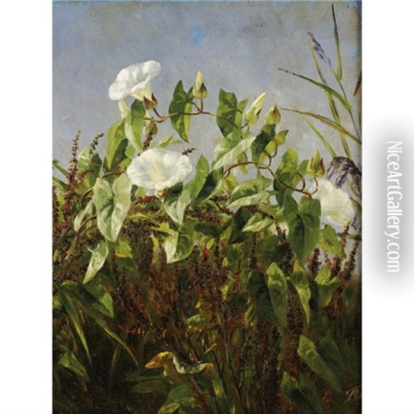 Morning Glories Oil Painting - Anthonie Eleonore (Anthonore) Christensen