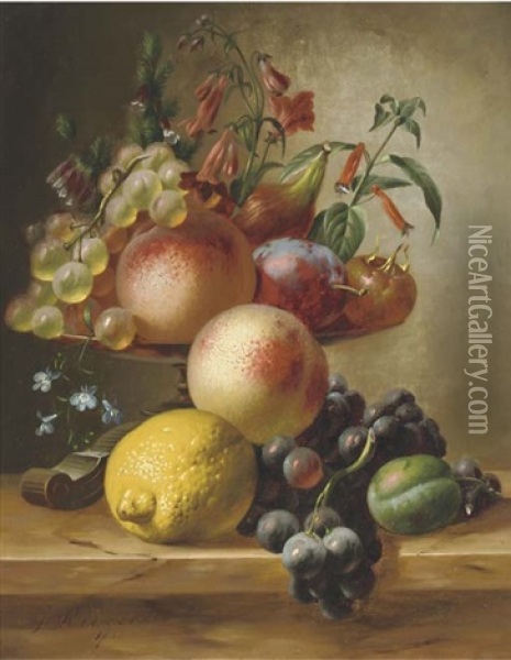 Still Life With Fruit On A Ledge Oil Painting - Johannes Reekers