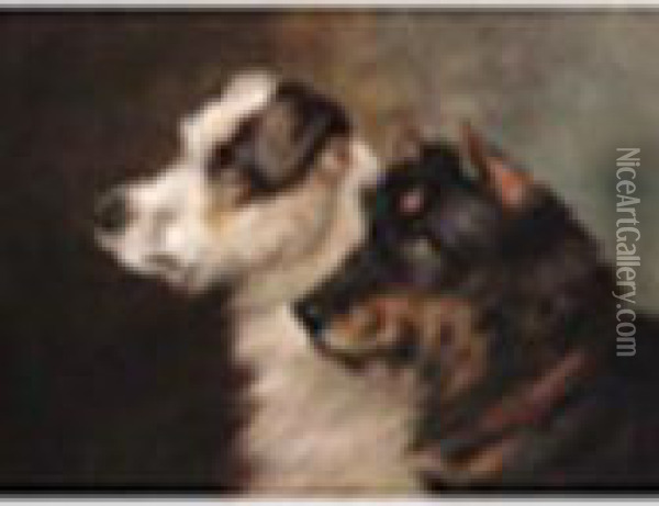 Terriers; A King Charles Spanie Oil Painting - Of John Alfred Wheeler