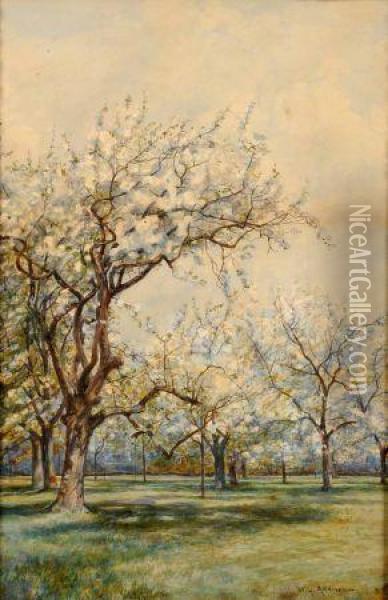In The Cherry Orchard Oil Painting - William Grylls Addison