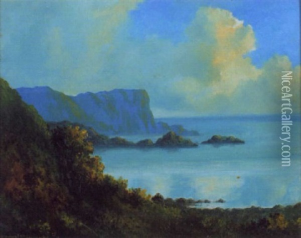 Achill Island Oil Painting - Douglas Alexander