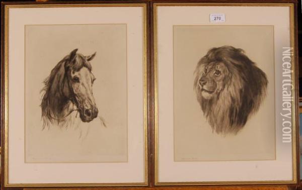 Portraits Of A Lion And A Horse Oil Painting - Heywood Hardy