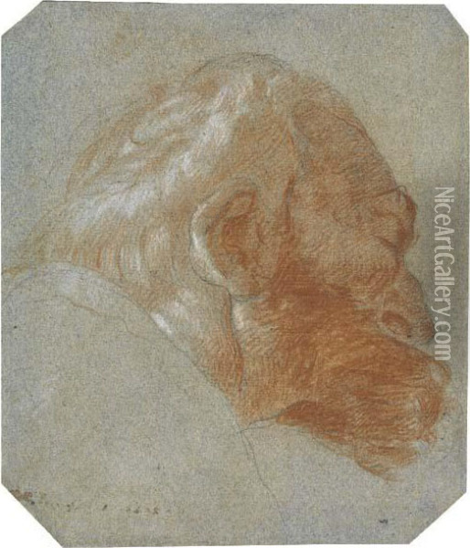 Head Of A Bearded Old Man In Profile To The Right Oil Painting - Lorenzo Baldissera Tiepolo