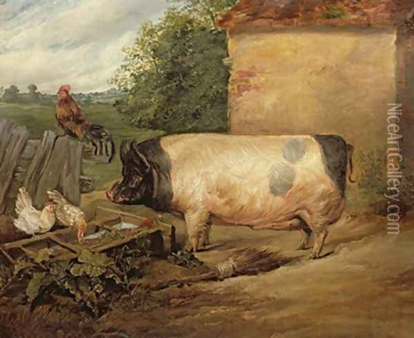 Portrait of a prize pig property of Squire Weston of Essex Oil Painting - Sir Edwin Henry Landseer