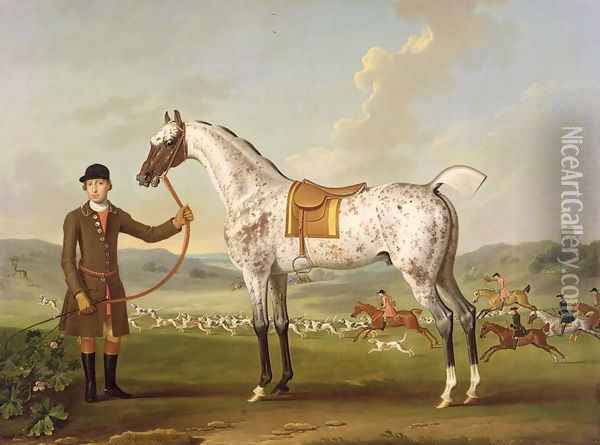 Scipio, Colonel Roches Spotted Hunter, c.1750 Oil Painting - Thomas Spencer