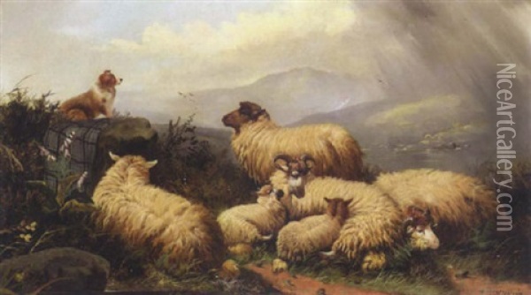 Sheep In A Highland Landscape Oil Painting - John W. Morris