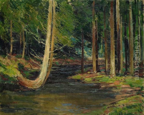 A Brook In A Forest Oil Painting - Gustav Macoun
