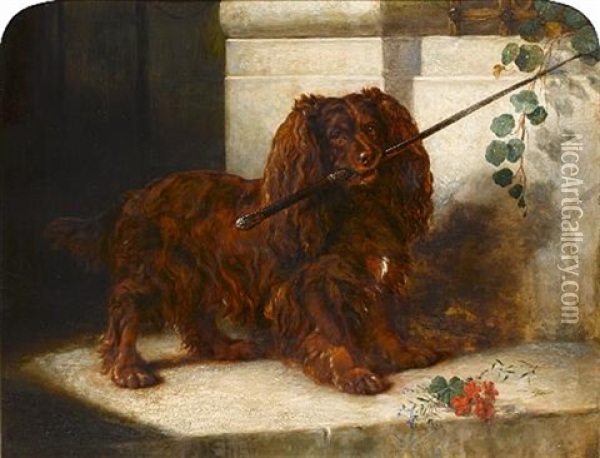 Waiting For Mistress - A Ruby Spaniel With A Cane Oil Painting - Samuel John Carter