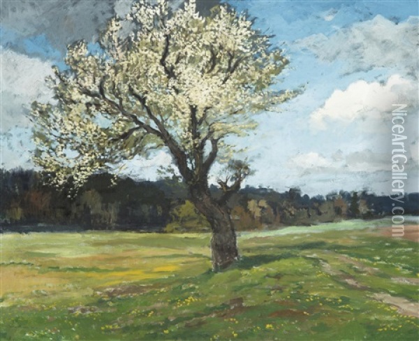 Pear Tree In Bloom Oil Painting - Gustav Macoun