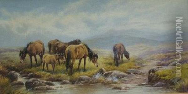 Moorland Ponies. Oil Painting - Thomas, Tom Rowden