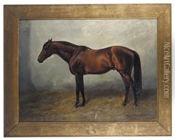 Racehorse In A Stable - Rennpferd Im Stall (+ 2 Others, Similar; 3 Works) Oil Painting - Karl Volkers