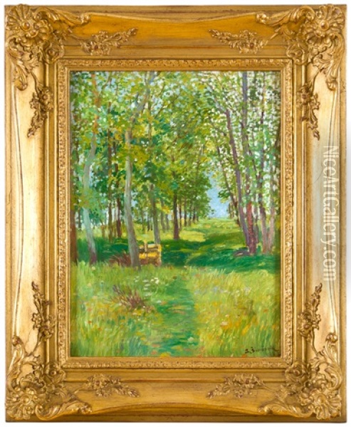 Letni Nalada Oil Painting - Jaroslav Simunek