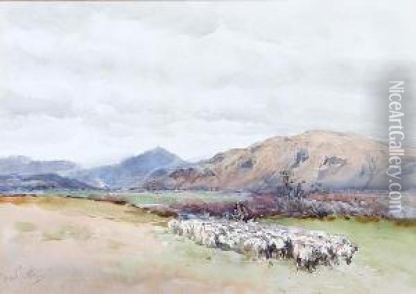 Shepherd And Flock Of Sheep In A Valley Oil Painting - Frank Saltfleet