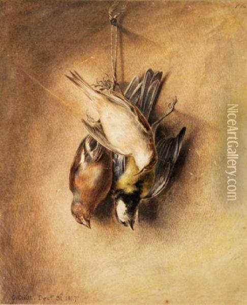 Still Life Of Dead Birds Oil Painting - George, the Younger Cuitt