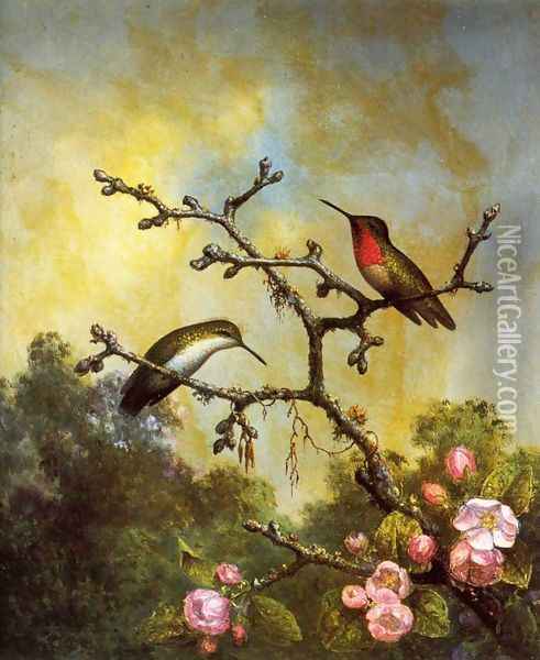 Ruby Throated Hummingbirds With Apple Blossoms Oil Painting - Martin Johnson Heade