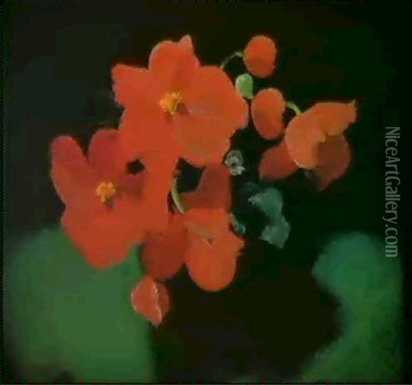 Red Begonias Oil Painting - Stuart James Park
