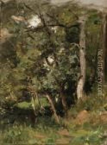 A Thick Forest Oil Painting - Henri-Joseph Harpignies