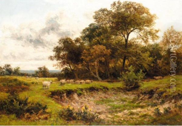 Sheep Grazing In Parkland Oil Painting - Thomas Spinks