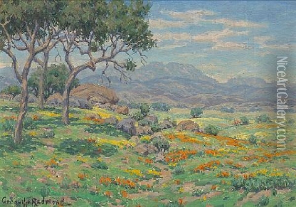 California Wildflowers In An Extensive Landscape Oil Painting - Granville S. Redmond