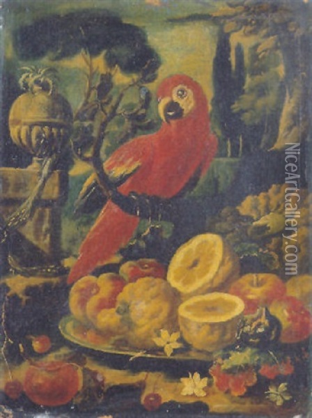 Limoni, Cedri, Una Zucca Ed Un Pappagallo In Un Giardino Oil Painting - Giovanni Paolo Castelli (lo Spadino)