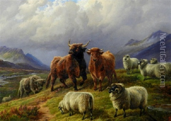 Highland Cattle And Sheep In A Mountainous Landscape Oil Painting - Charles Jones