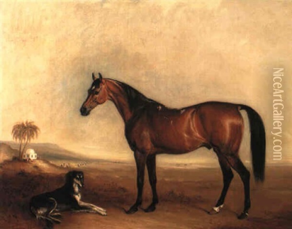 A Bay Arab Stallion, The Property Of Sir George Palmer, Bt. And A Saluki Oil Painting - John E. Ferneley
