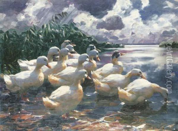 Ducks On A Pond Oil Painting - Alexander Max Koester