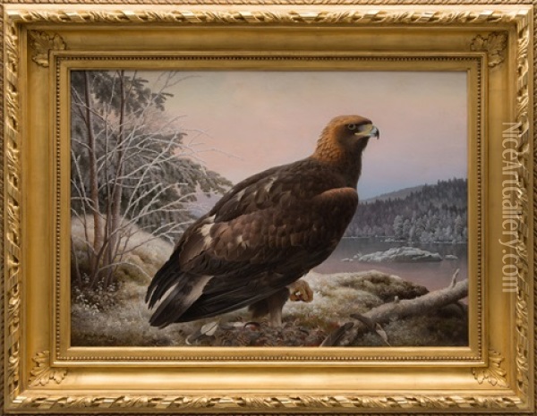 Eagle Oil Painting - Ferdinand von Wright