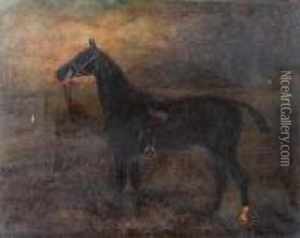 'tommy' A Saddled Hunter Oil Painting - Herbert Jones