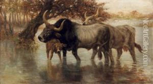 Bufali Nella Palude Oil Painting - Pietro Barucci