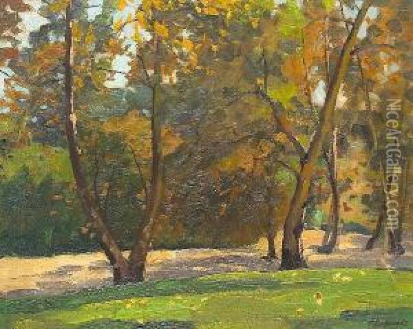 Sycamore Grove, Pasadena, California 1937 Oil Painting - Ferdinand Kaufmann