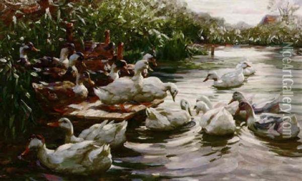 Ducks On A Sunny Morning Oil Painting - Alexander Max Koester