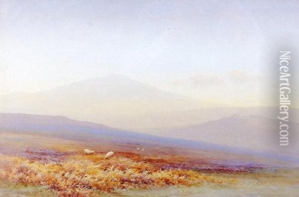 Meary Valley, Dartmoor Oil Painting - Charles Edward Ii Brittan