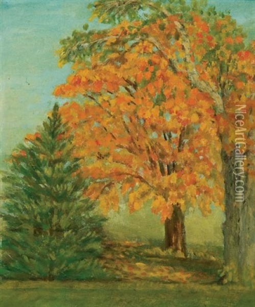 Autumn Maple Oil Painting - Gertrude E. Spurr Cutts