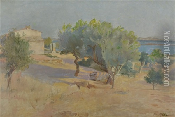Sydfranskt Kustlandskap Med Olivtrad Oil Painting - Henri Malfroy-Savigny