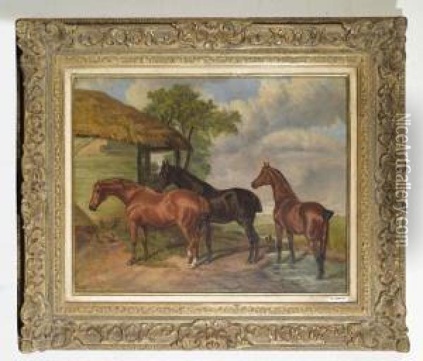 Drei Pferde Auf Einer Weide. Oil Painting - A. Clark