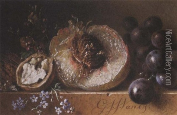 A Partridge, Prunes, Grapes, Walnuts And Flowers On A Ledge Oil Painting - Georgius Jacobus Johannes van Os
