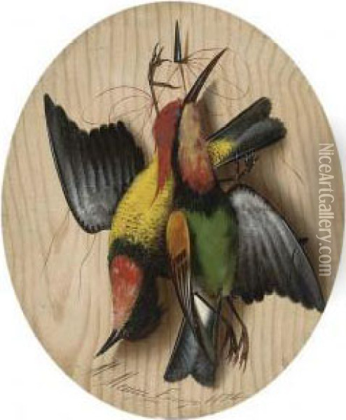Hanging Songbirds; And Another Similar Oil Painting - Michaelangelo Meucci