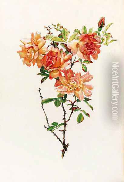 Flowers Oil Painting - Ellen Ann Wilmott