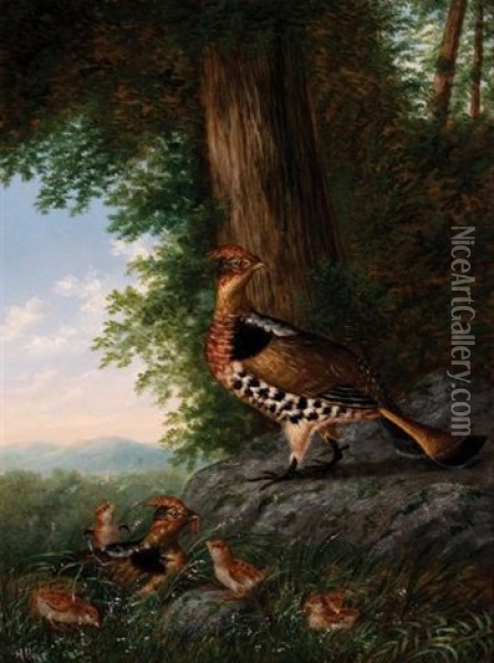 Family Of Grouse Oil Painting - Howard L. Hill