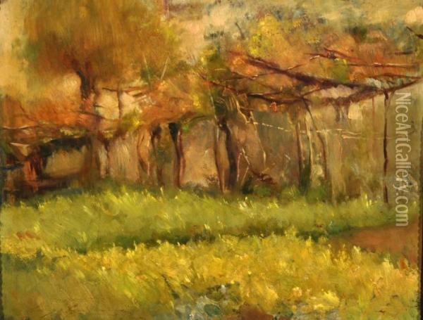 Paesaggio Alberato Oil Painting - Luigi Crisconio