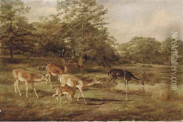 Stags and hinds Oil Painting - Thomas Barrett