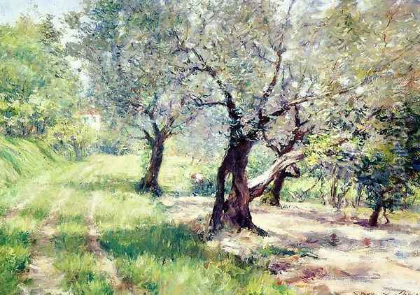 The Olive Grove Oil Painting - William Merritt Chase